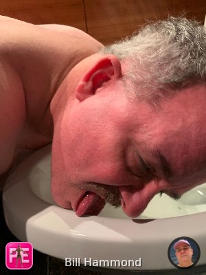 toilet_licking